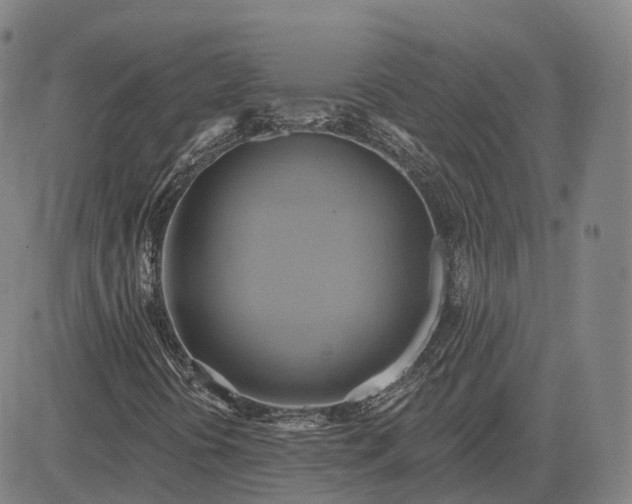 X0000083041394200702161654