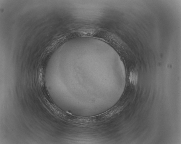 X0000083041396200702161654