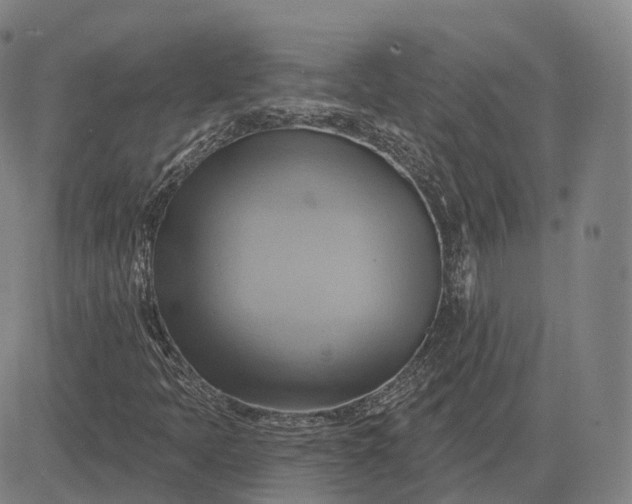 X0000083041397200702161654