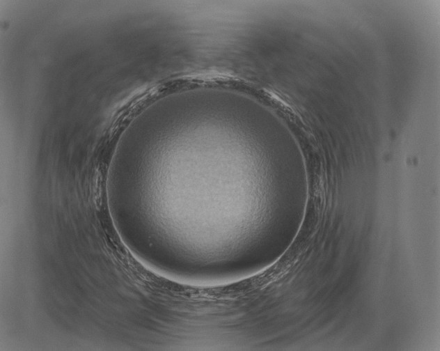 X0000083041398200702161655