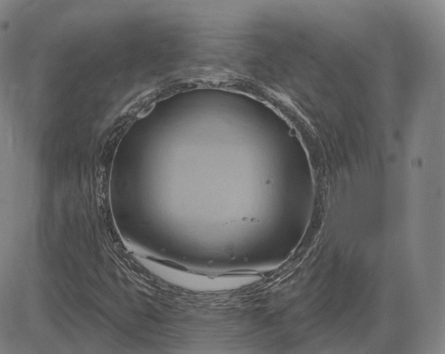 X0000083041399200702161655