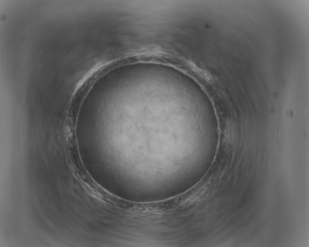 X0000083041400200702161655