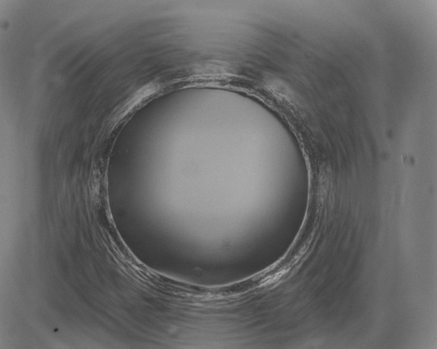 X0000083041401200702161655