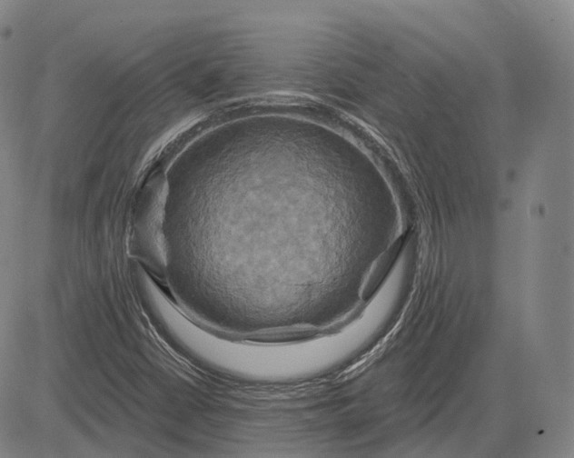 X0000083041402200702161655