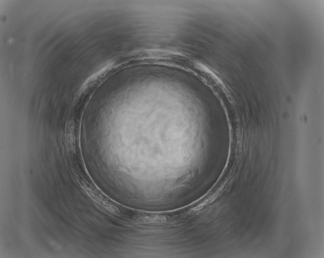 X0000083041403200702161655