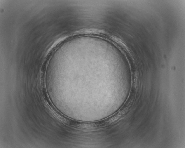 X0000083041404200702161655