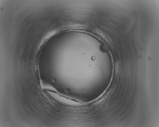 X0000083041405200702161655