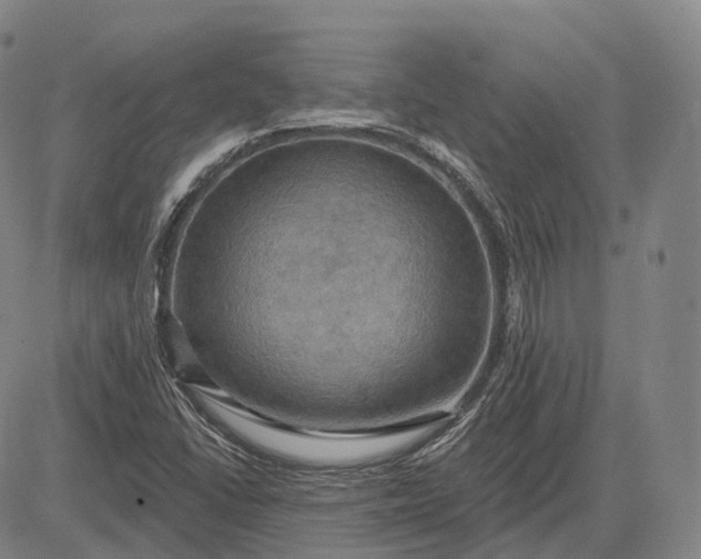 X0000083041406200702161655