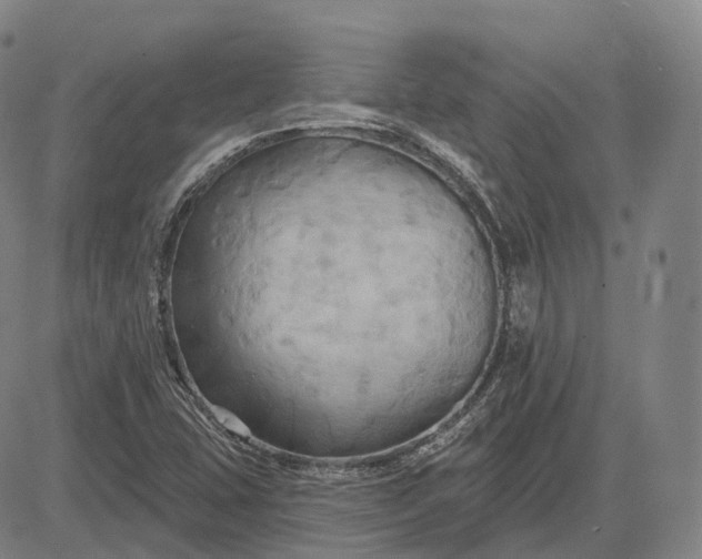 X0000083041407200702161655