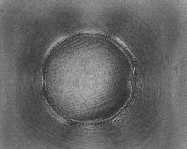 X0000083041408200702161655