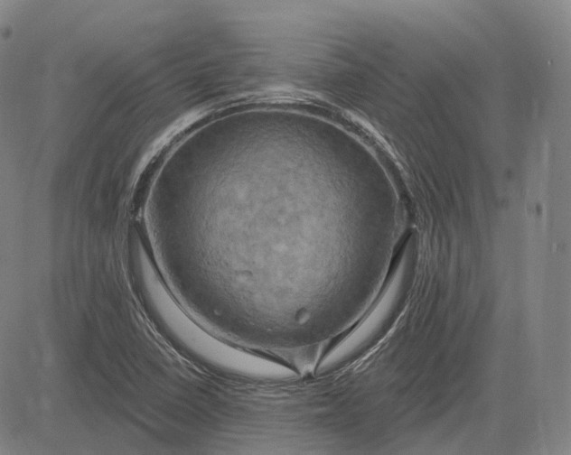 X0000083041410200702161655