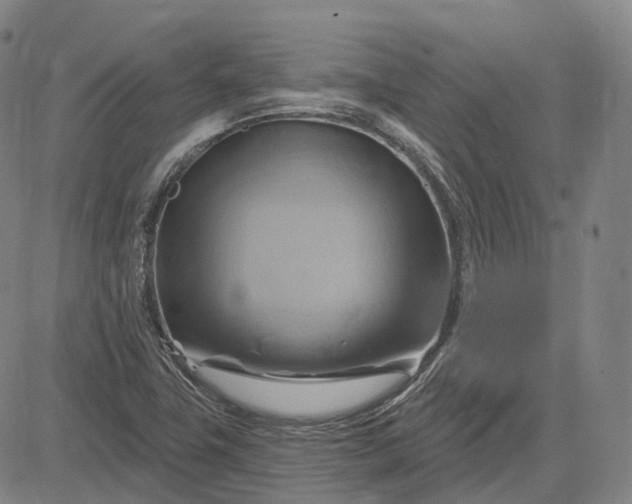 X0000083041411200702161655