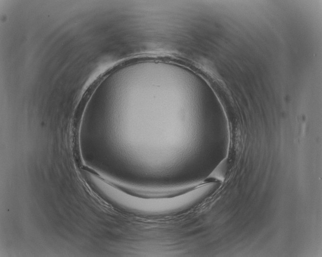 X0000083041412200702161655