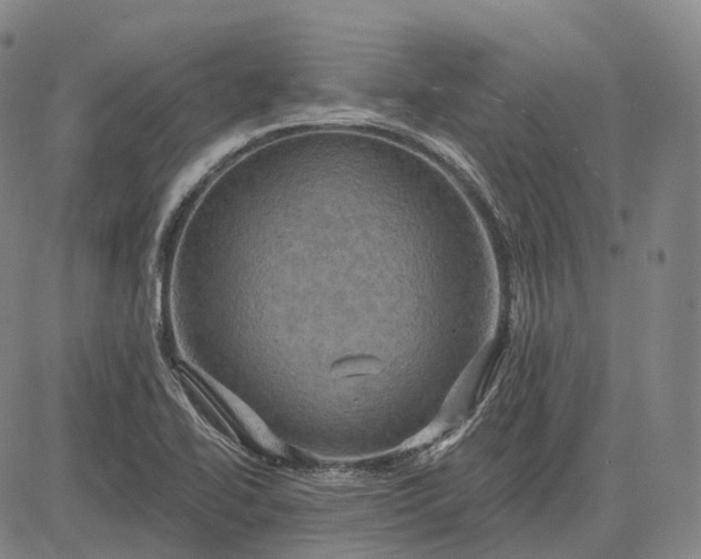 X0000083041414200702161655