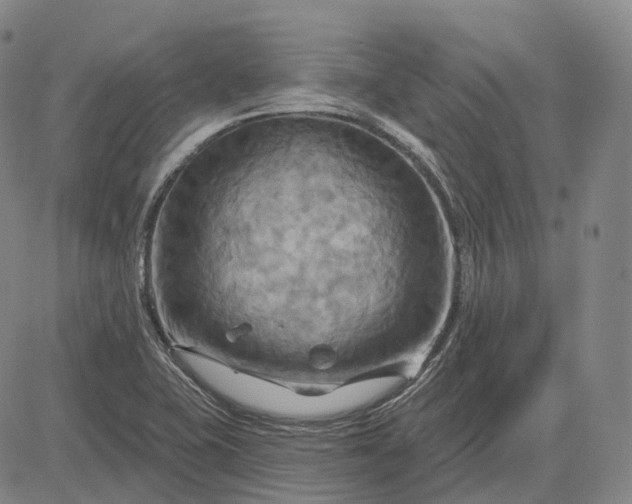 X0000083041415200702161655