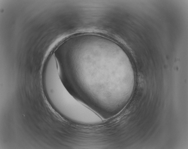 X0000083041416200702161655