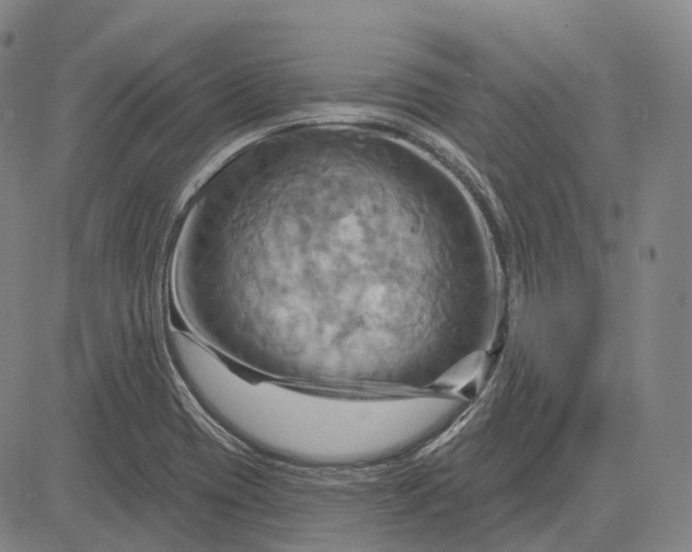 X0000083041417200702161655