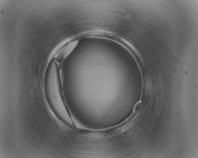 X0000083041418200702161655