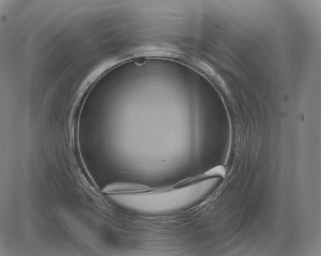 X0000083041419200702161655