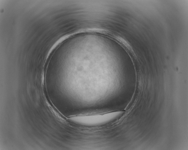 X0000083041420200702161655