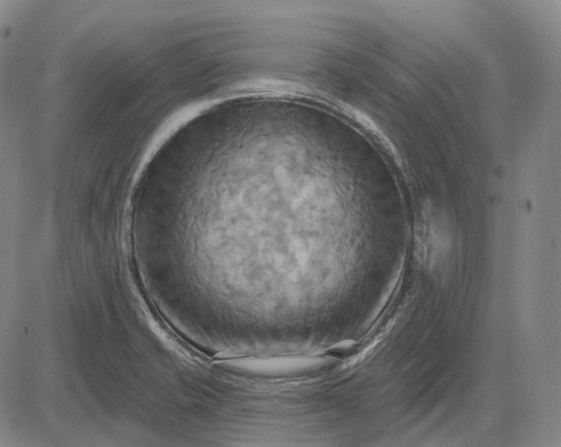 X0000083041421200702161655