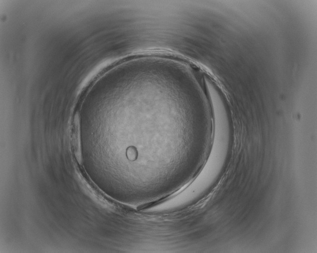 X0000083041422200702161655