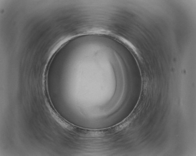 X0000083041423200702161655