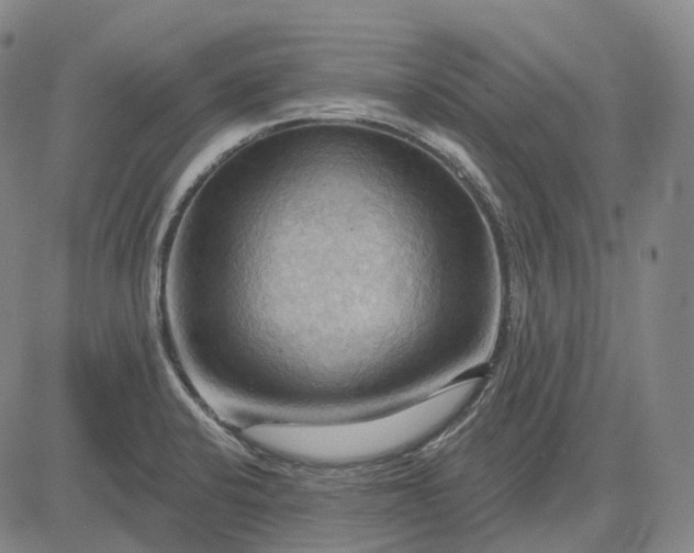 X0000083041424200702161655