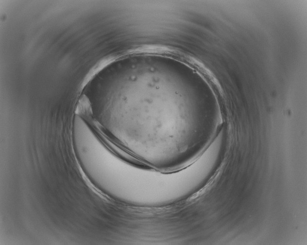 X0000083041425200702161655