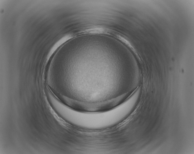 X0000083041426200702161655