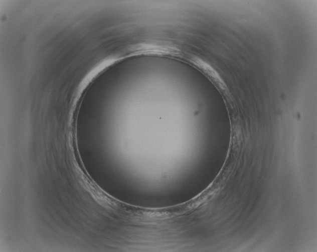 X0000083041427200702161655