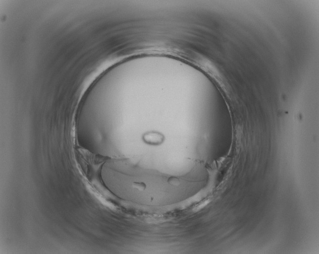 X0000083041428200702161655