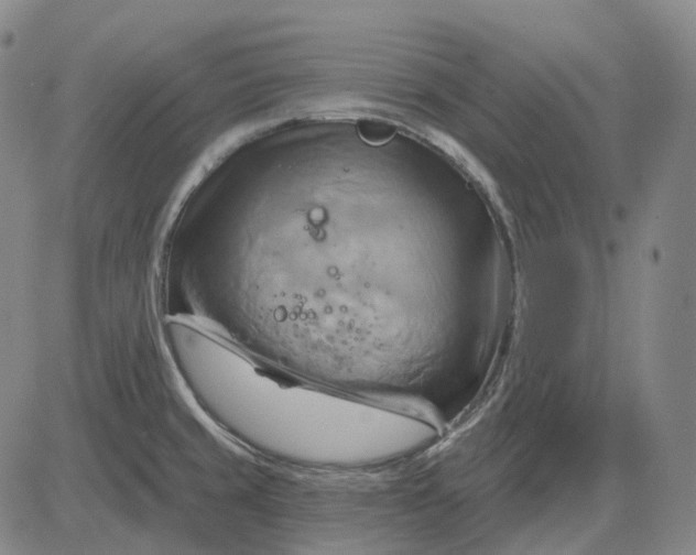 X0000083041429200702161655