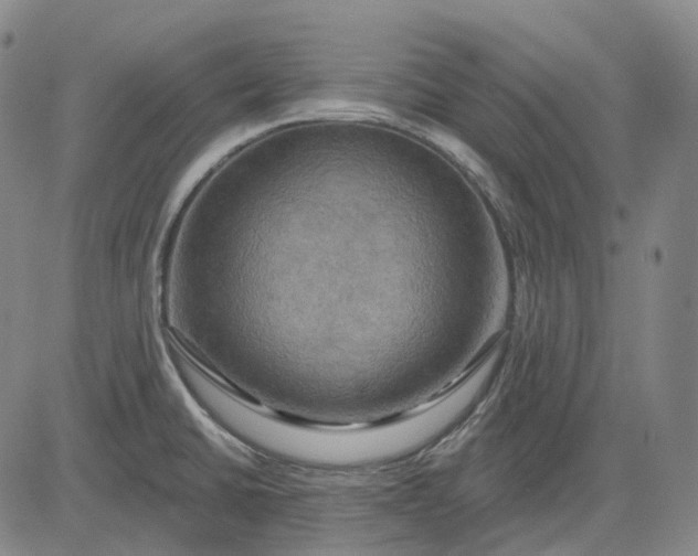 X0000083041430200702161655