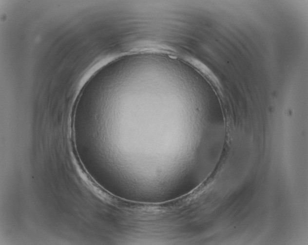 X0000083041431200702161655