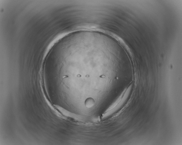 X0000083041432200702161655