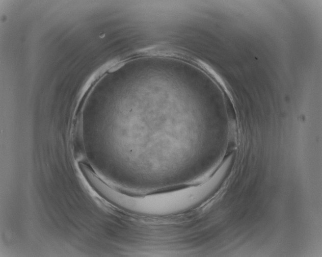 X0000083041434200702161655