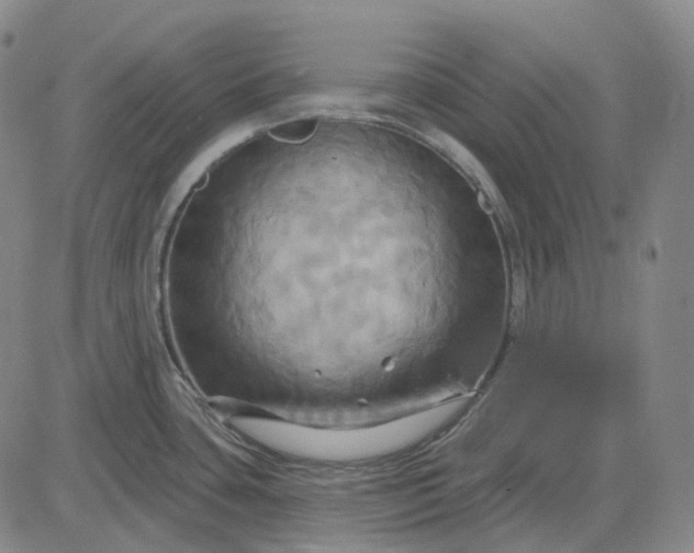 X0000083041435200702161655