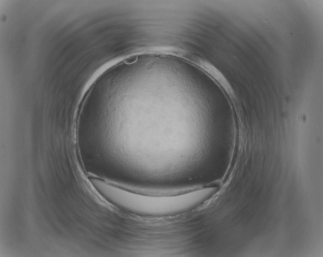 X0000083041436200702161655