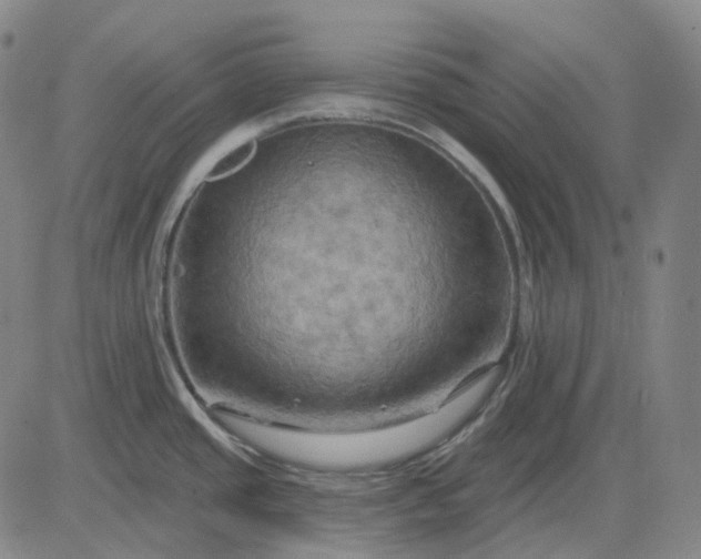 X0000083041437200702161655