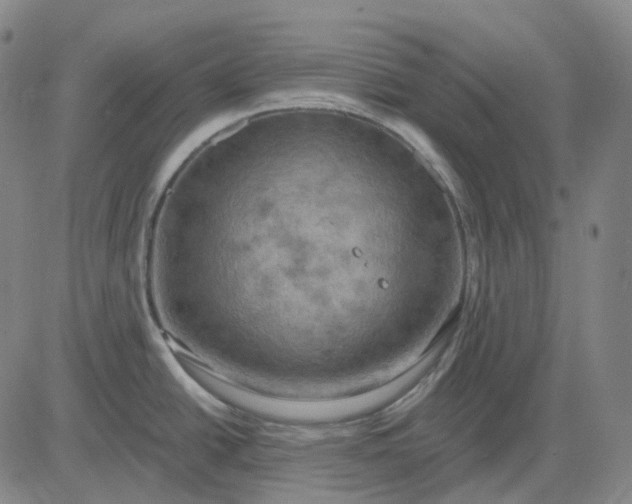 X0000083041438200702161655