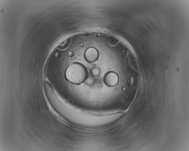 X0000083041439200702161655