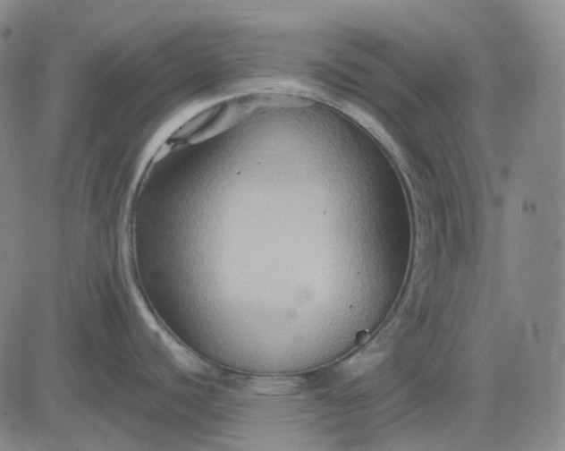 X0000083041440200702161655