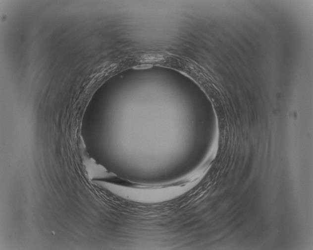 X0000083041441200702161654