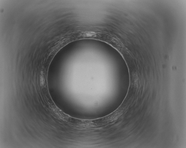 X0000083041442200702161654