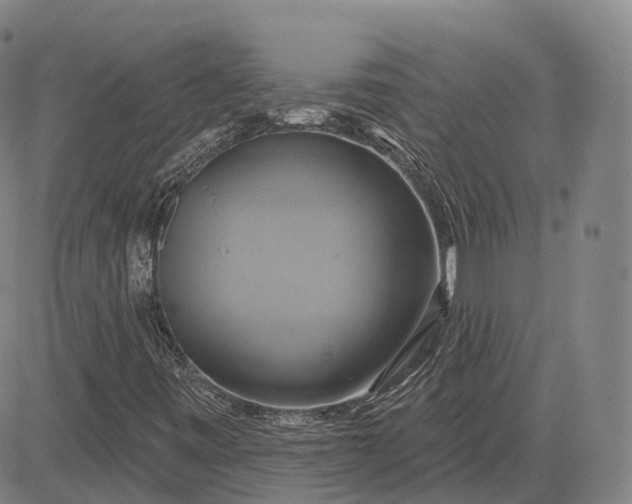 X0000083041443200702161654