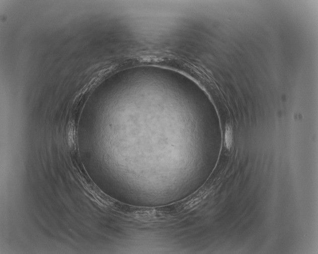 X0000083041444200702161654