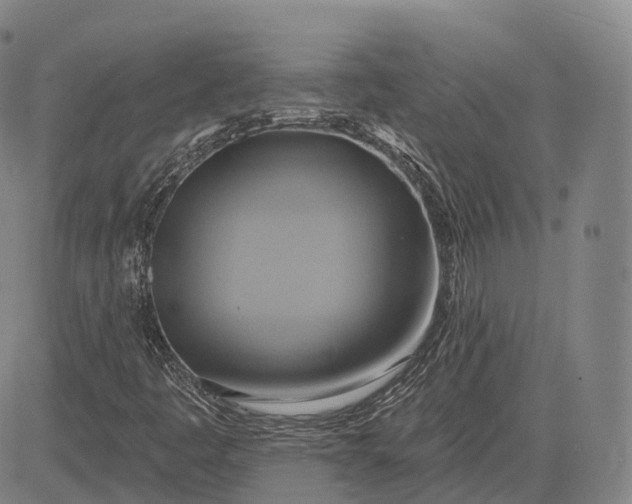 X0000083041445200702161654