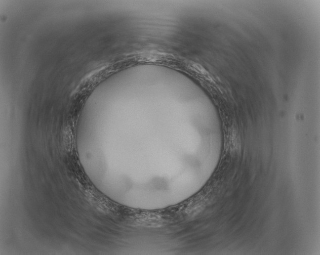 X0000083041446200702161654