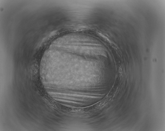 X0000083041447200702161654